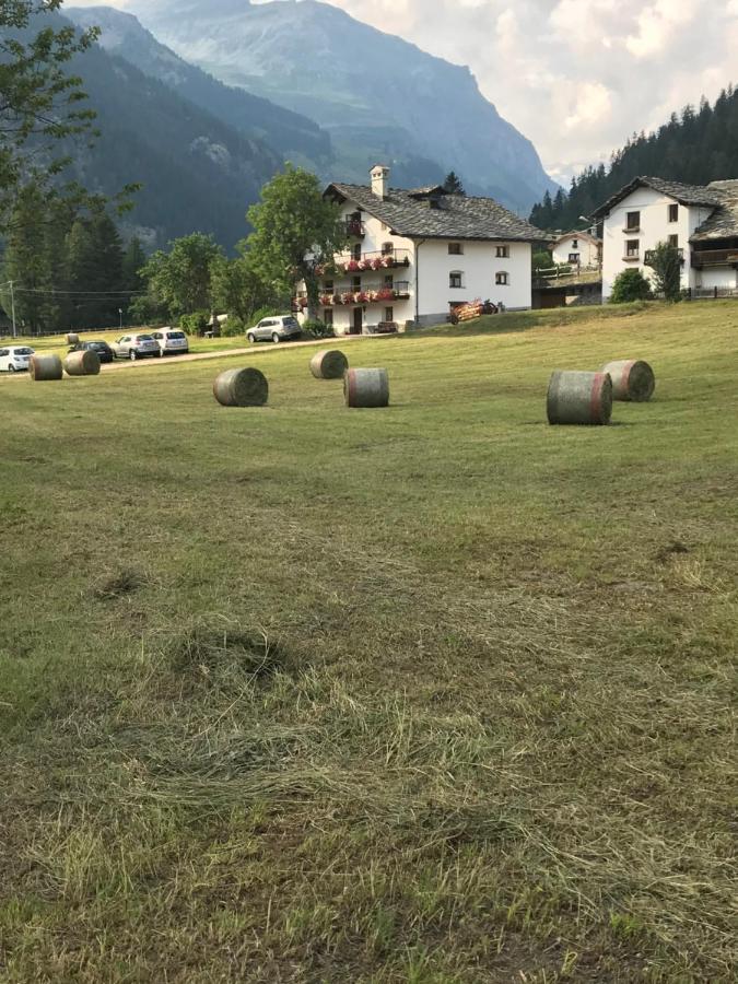Flora Alpina Apartments-Residenza Verdebjo Gressoney-Saint-Jean Luaran gambar