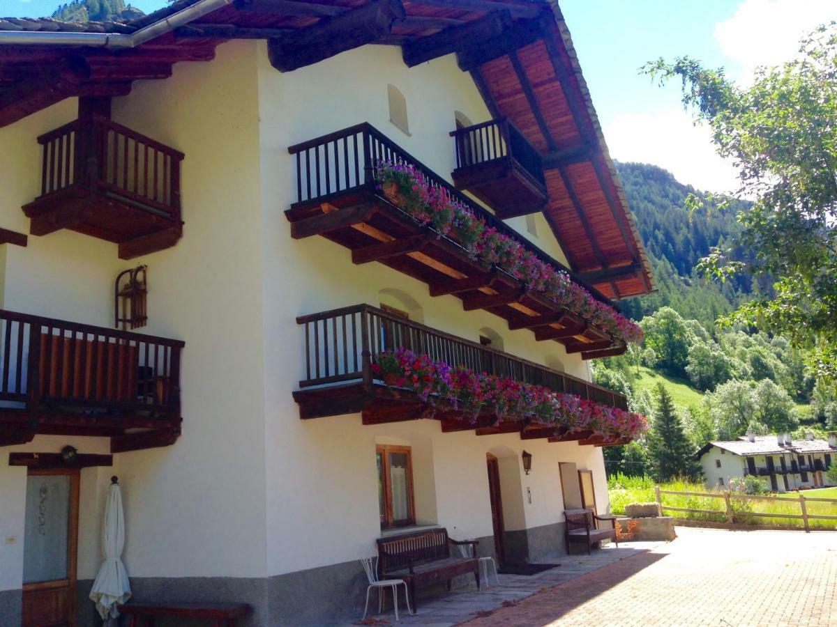 Flora Alpina Apartments-Residenza Verdebjo Gressoney-Saint-Jean Luaran gambar