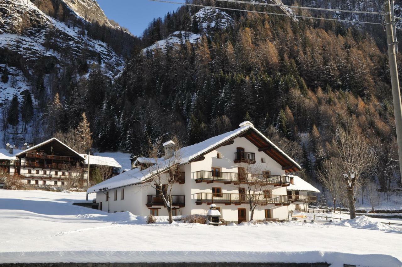 Flora Alpina Apartments-Residenza Verdebjo Gressoney-Saint-Jean Luaran gambar